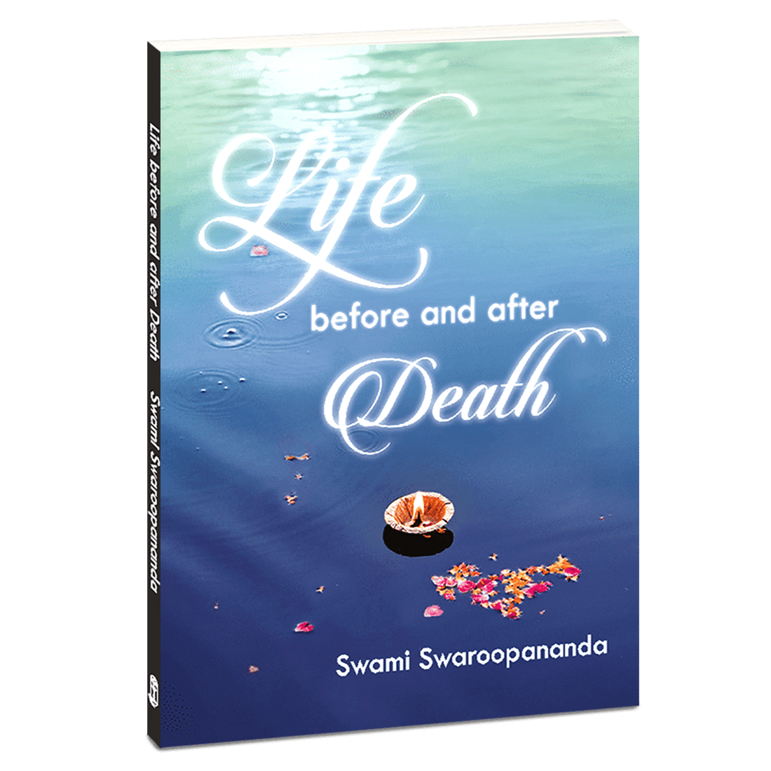 Life Before and After Death