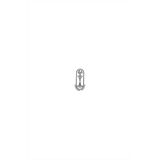 Chatuhshloki Bhagavat (मराठी)