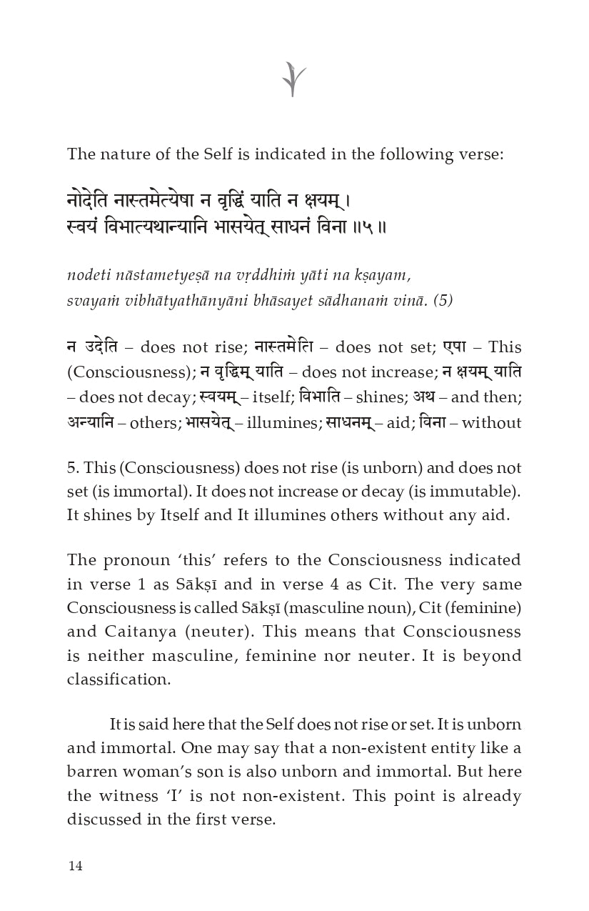 Drig Drishya Viveka