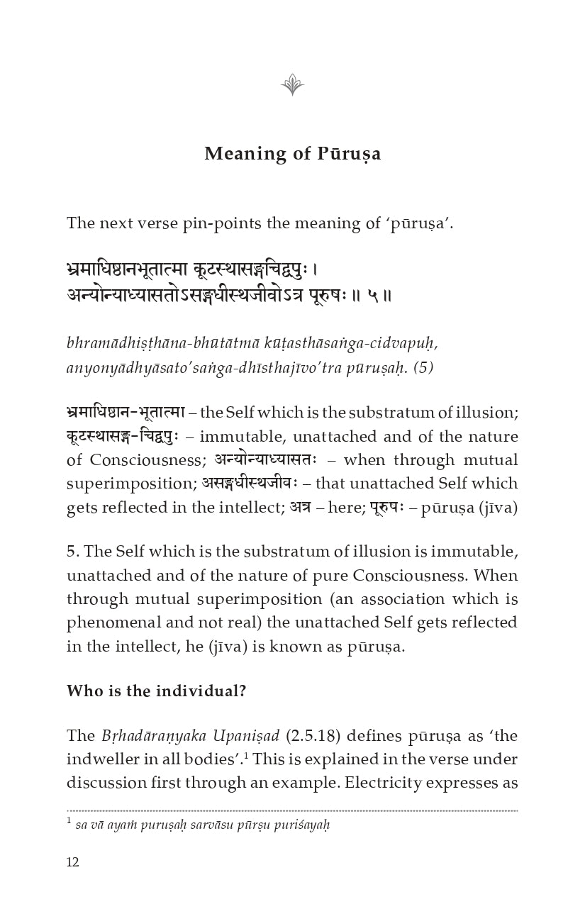 Tripti Dipa [Chapter 7 - Panchadasi]